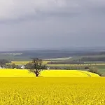 Dreyhaupt