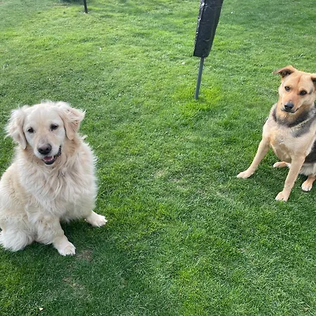 Dreyhaupt Διαμέρισμα