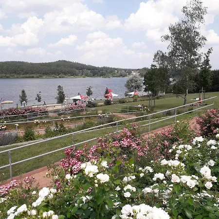 Dreyhaupt