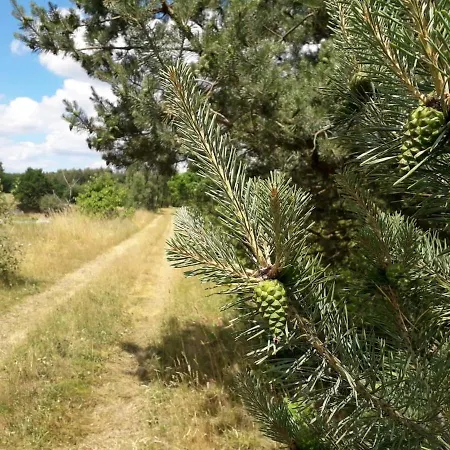 Διαμέρισμα Dreyhaupt