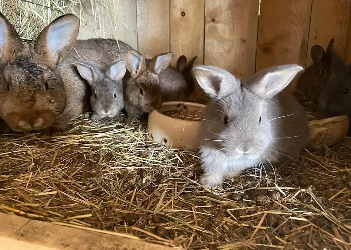 Dreyhaupt Lejlighed Tegau