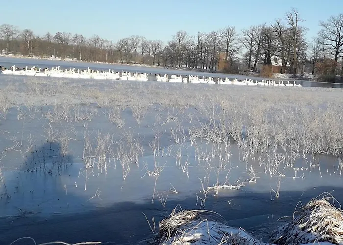 Lejlighed Dreyhaupt *