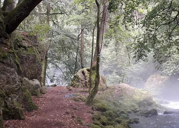 Dreyhaupt Lejlighed Tegau